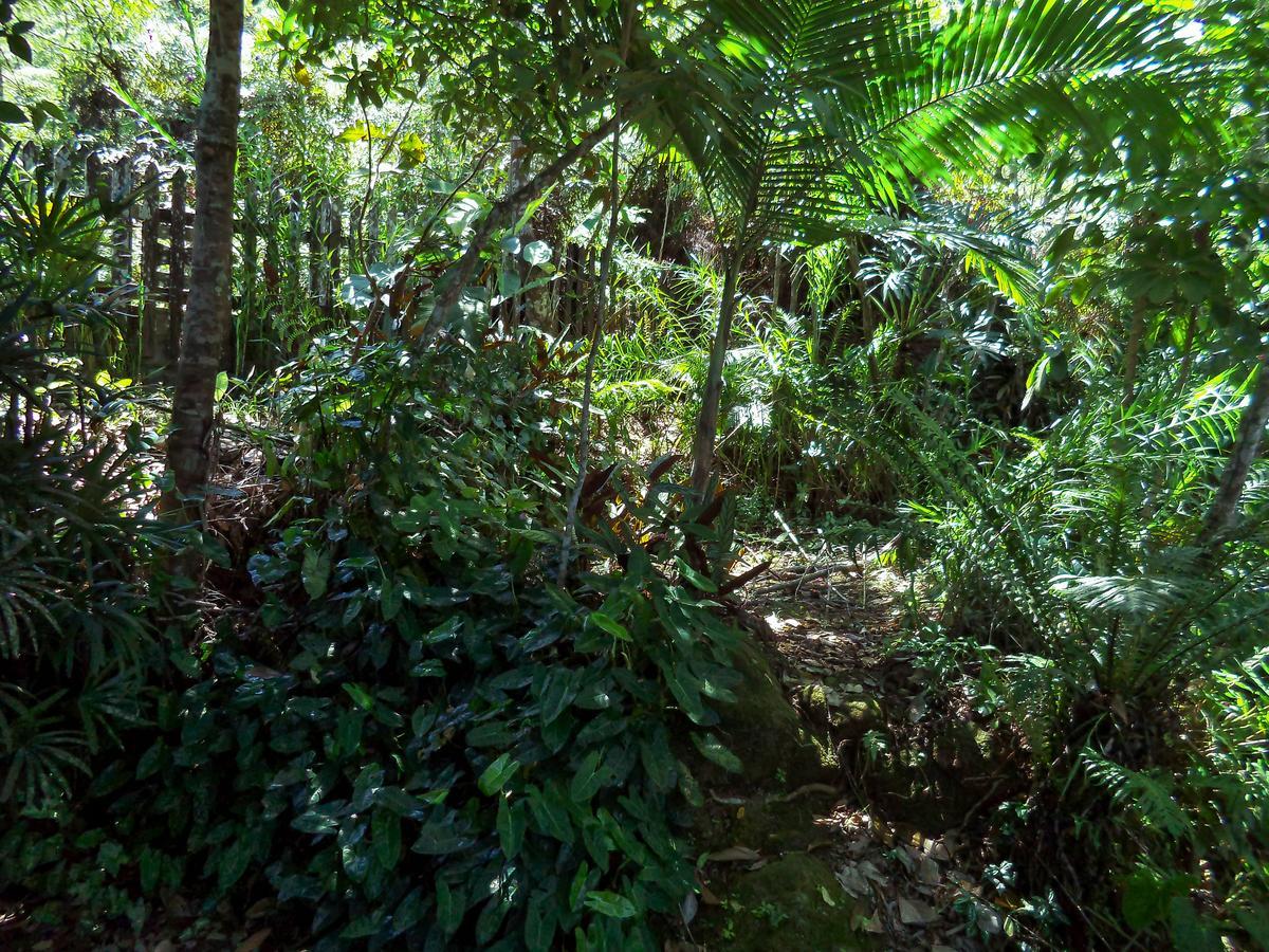 Laguna Guarujá Exterior foto